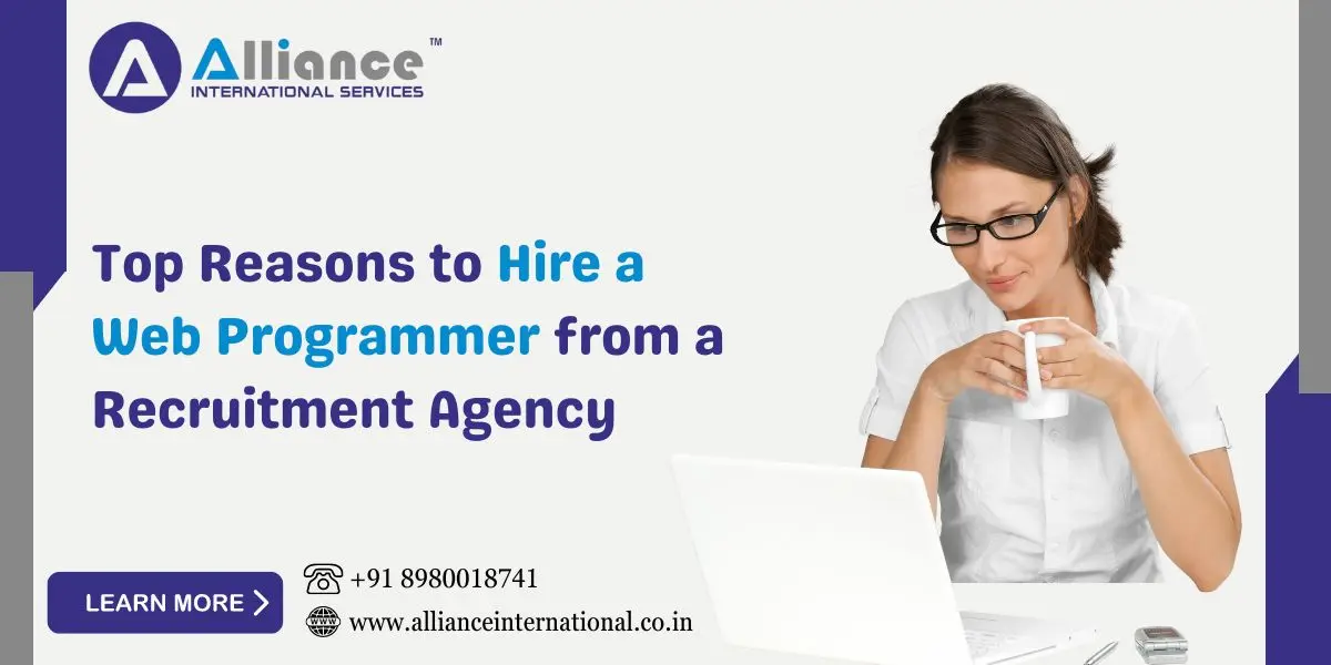 hire web programmer